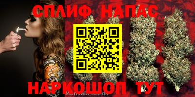 спиды Бузулук