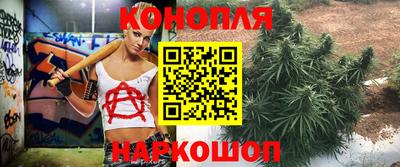 jwh Будённовск