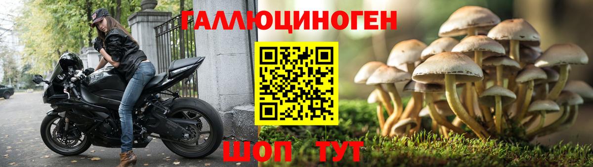 Галлюциногенные грибы мухоморы  купить наркотик  Лобня  Вход с VPN 